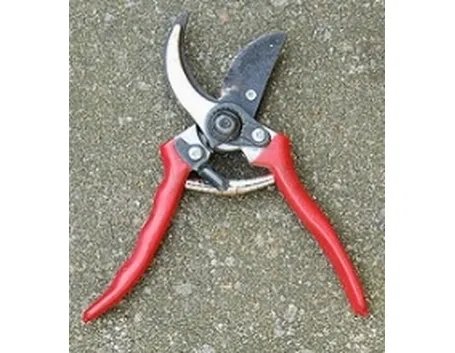 Forbici giardinaggio