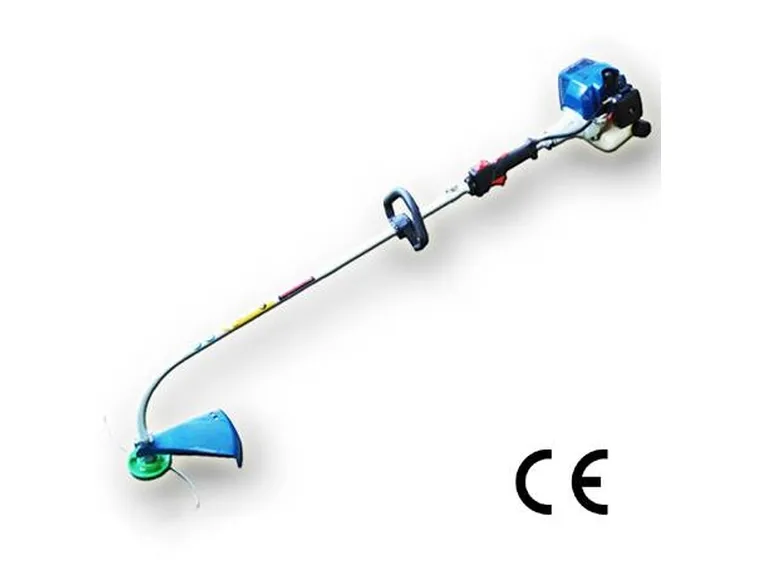 tagliabordi classica