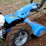 Un motocoltivatore BCS al lavoro