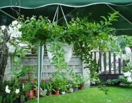bel giardino