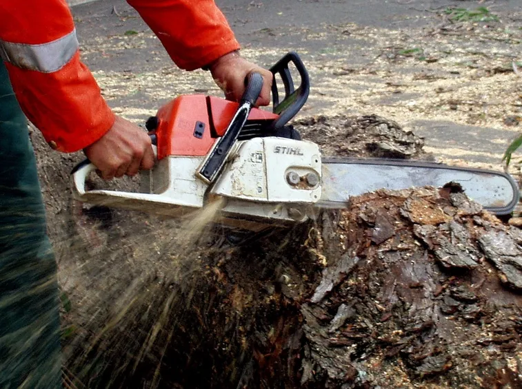 Motosega al lavoro