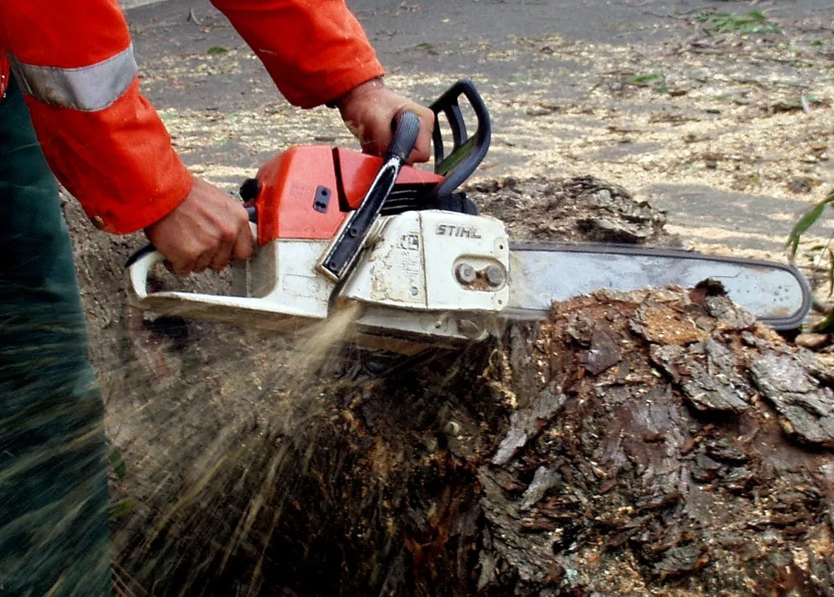 Motosega al lavoro