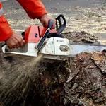 Motosega STIHL in azione.