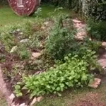 giardino curato con calcio