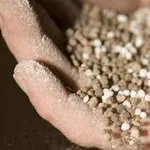 Concimazione olivo