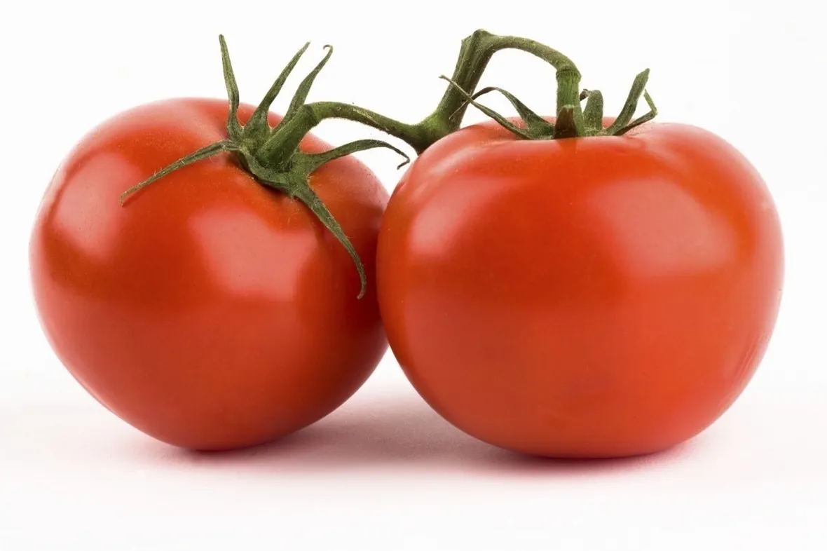 pomodori grandi rossi