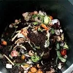 inizio compostaggio 