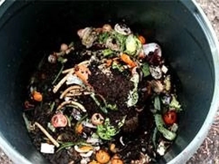 inizio compostaggio 
