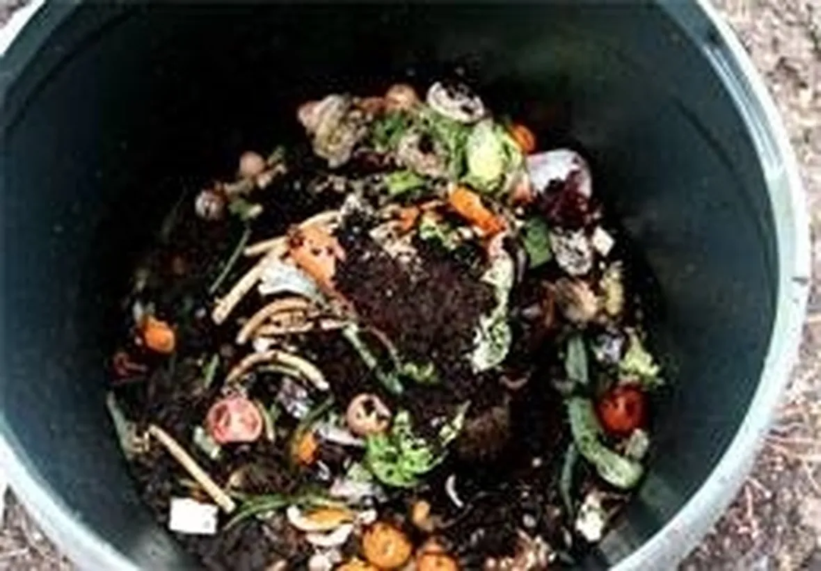 inizio compostaggio 