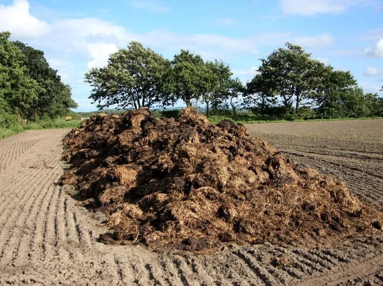concime agricoltura biologica