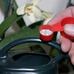 Concime urea