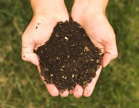 Concimare il terreno