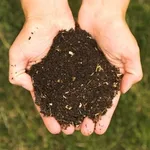 Concimare il terreno