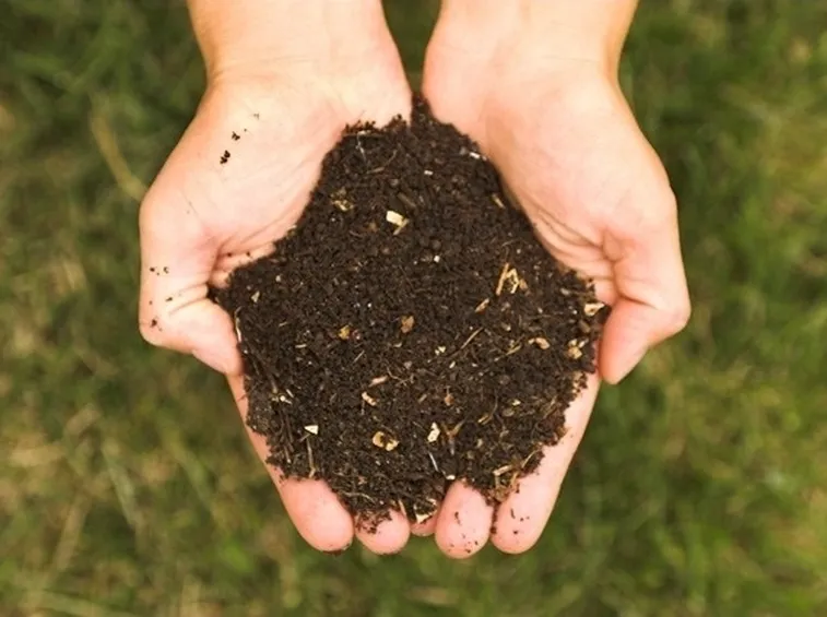 Concimare il terreno