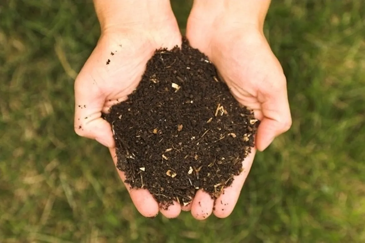 Concimare il terreno