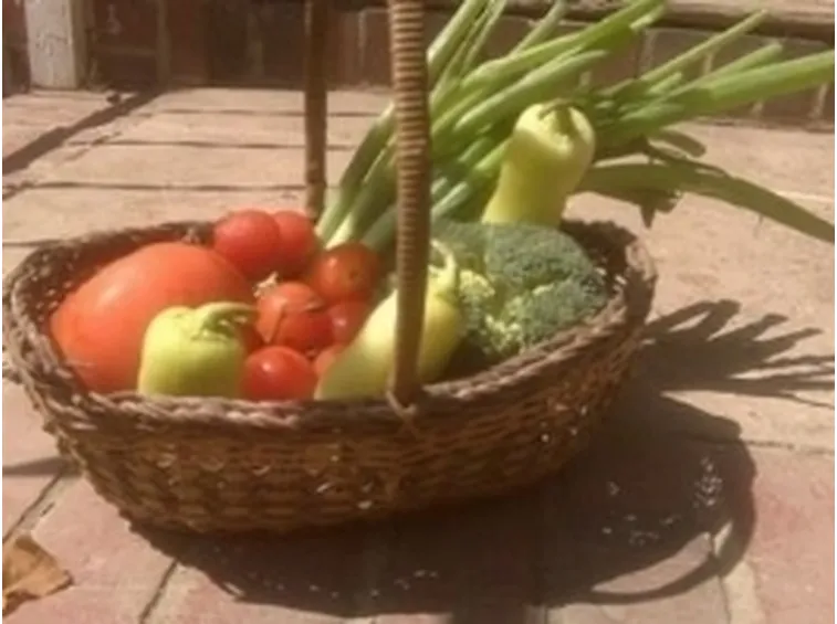 prodotti del giardino