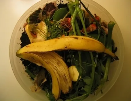 base del compost