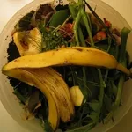 base del compost