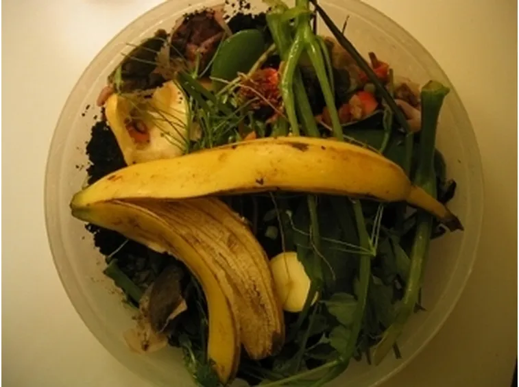 base del compost