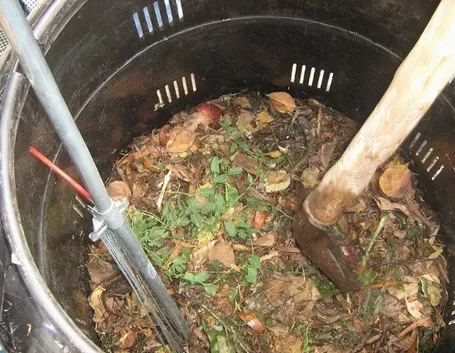 compost in formazione