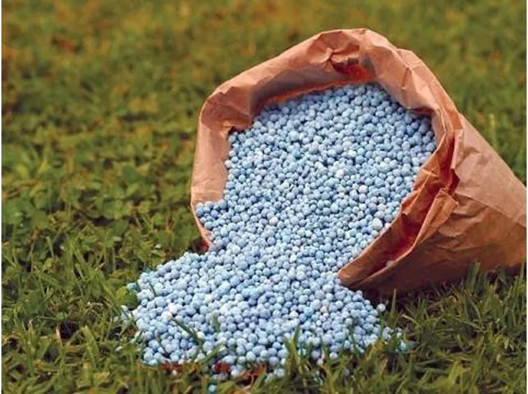Fertilizzante per le piante