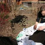 Fertilizzanti naturali
