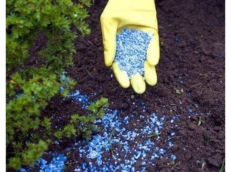 Fertilizzanti chimici