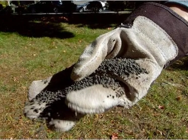 Fertilizzanti chimici
