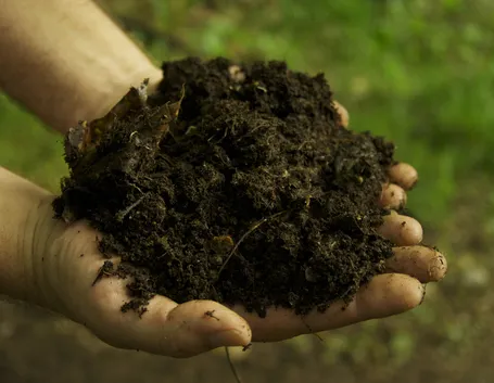 Composto organico fertilizzante