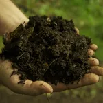 Composto organico fertilizzante