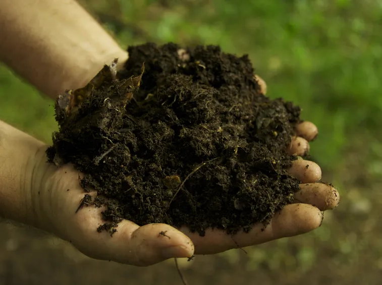 Composto organico fertilizzante
