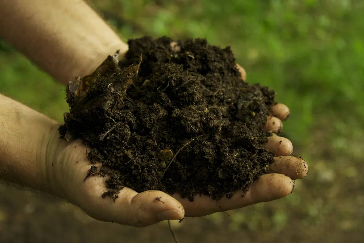 Composto organico fertilizzante