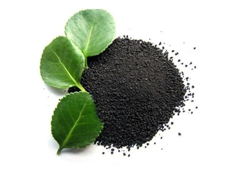 Fertilizzanti per piante