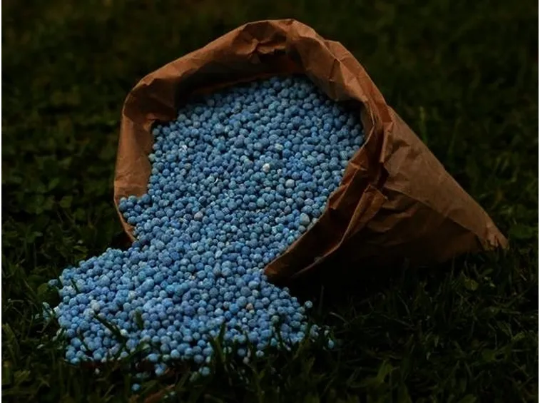 Fertilizzanti per piante
