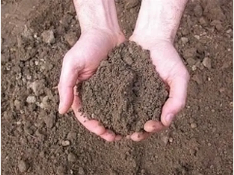 terriccio