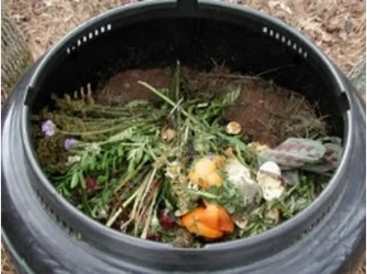 compost
