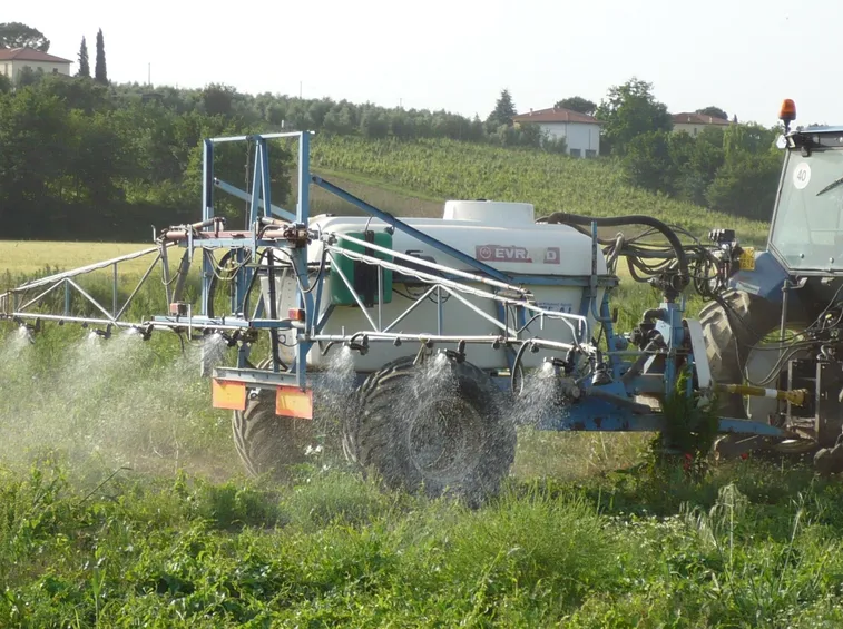 Fertilizzazione