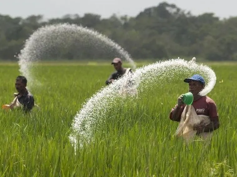 Spargimento dell'urea a mano
