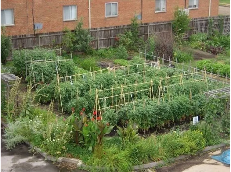 giardino curato