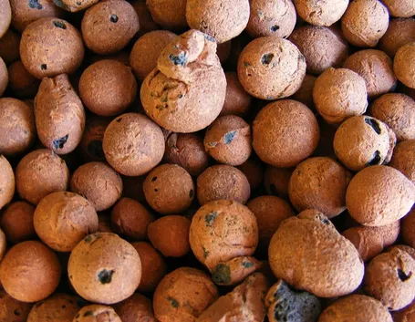 Argilla espansa