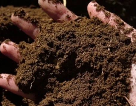 Esempio di concime organico