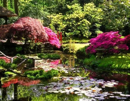 Esempio di giardino
