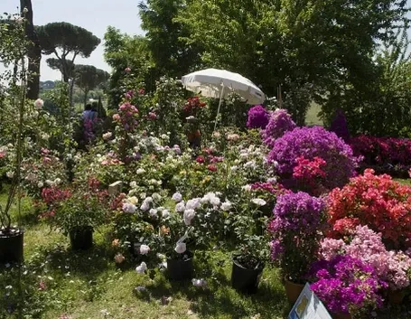 giardinaggio