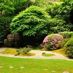 Giardino fiorito