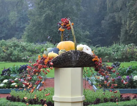 Giardino cura