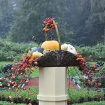 Giardino cura