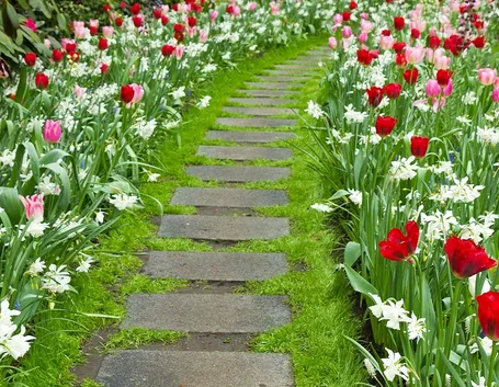 Vialetto giardino