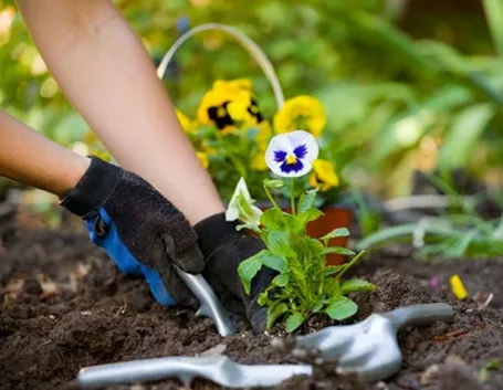 I lavori di giardinaggio in primavera