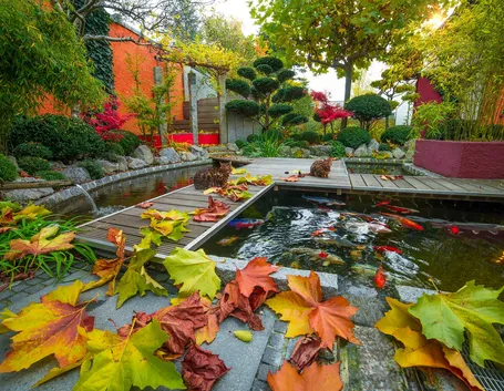 giardino in autunno