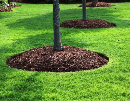 pacciamatura in giardino